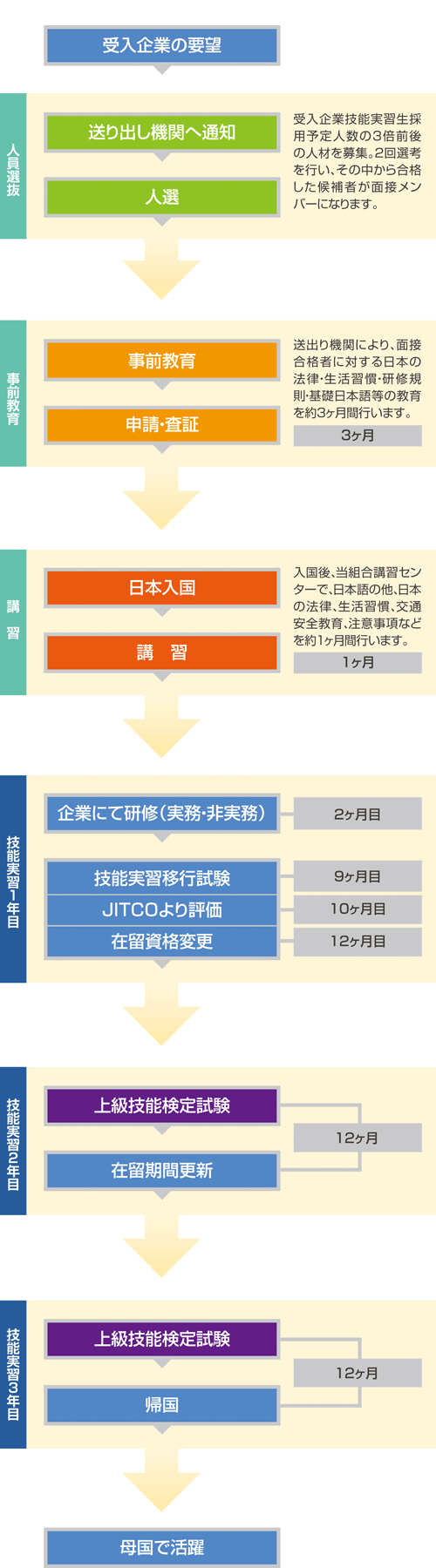 帰国までの流れ